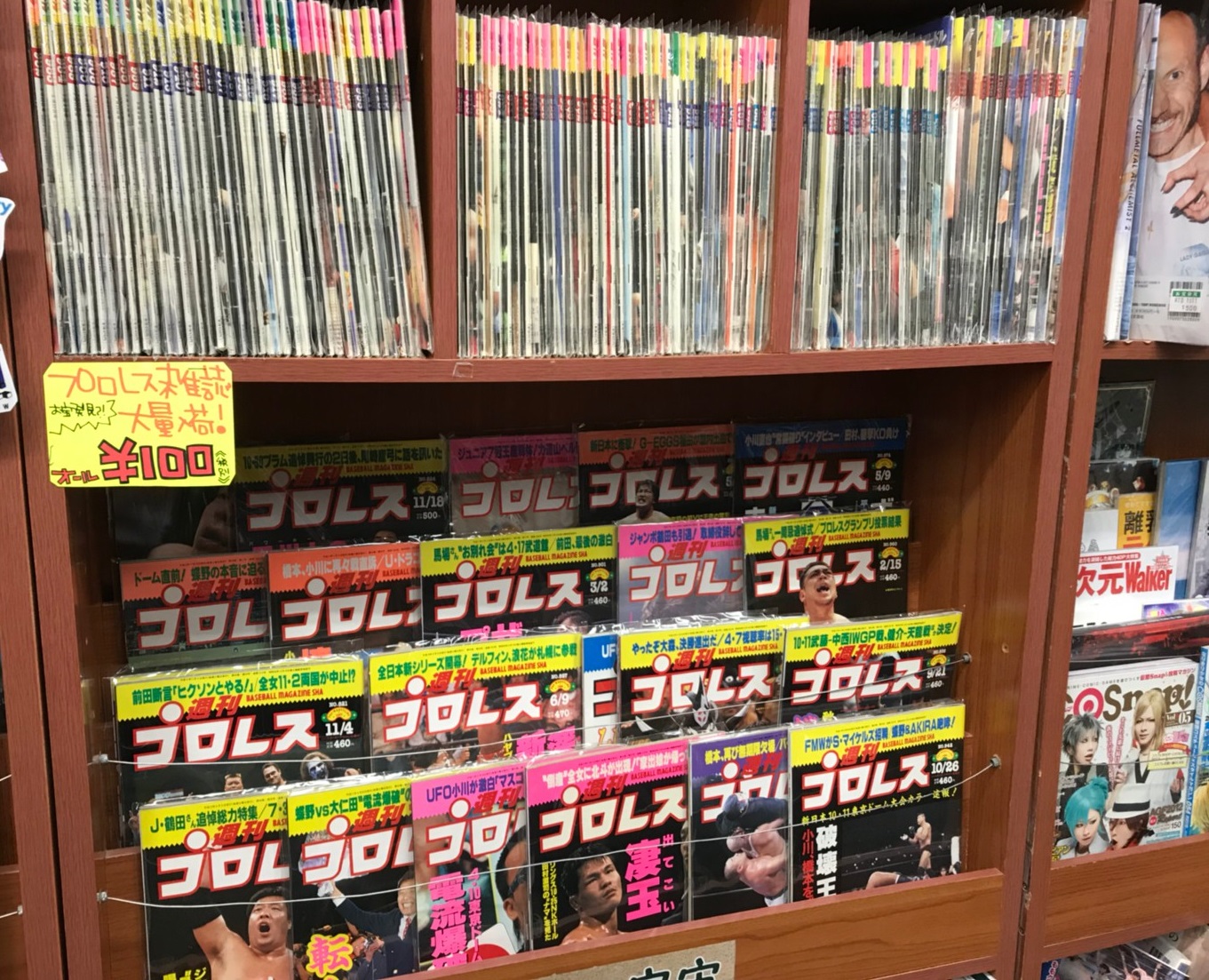 A5版】紙のプロレス 1巻から22巻 - 雑誌