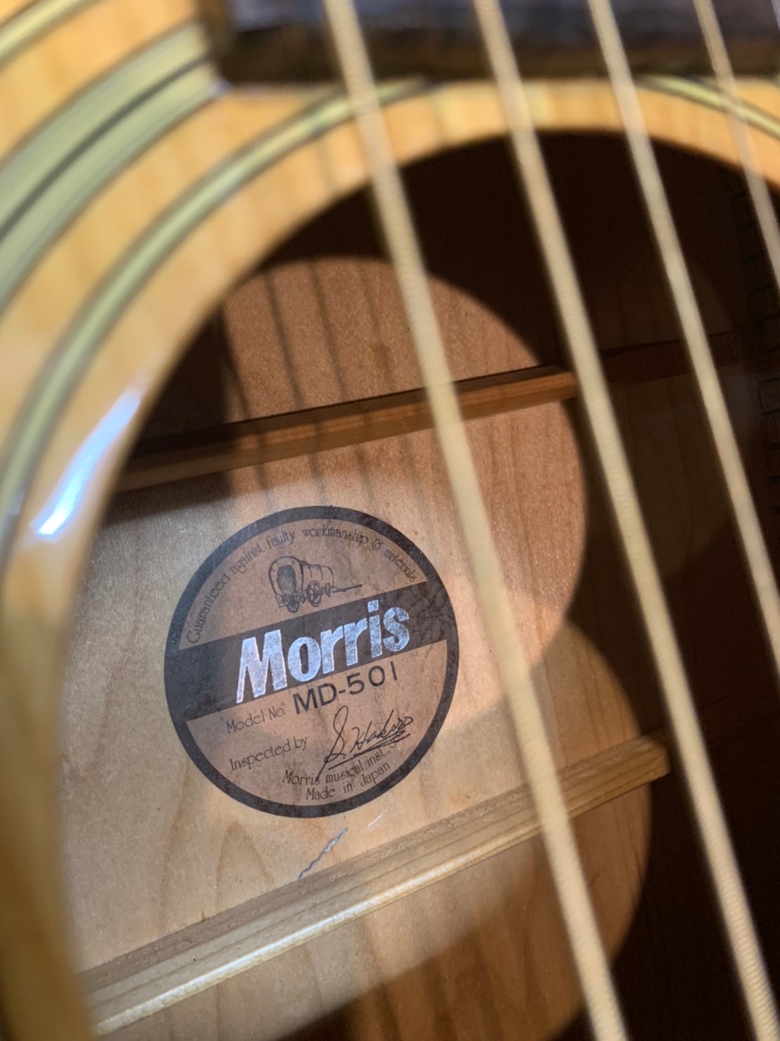Morris モーリス アコースティックギター MD- 501 初心者最適❗