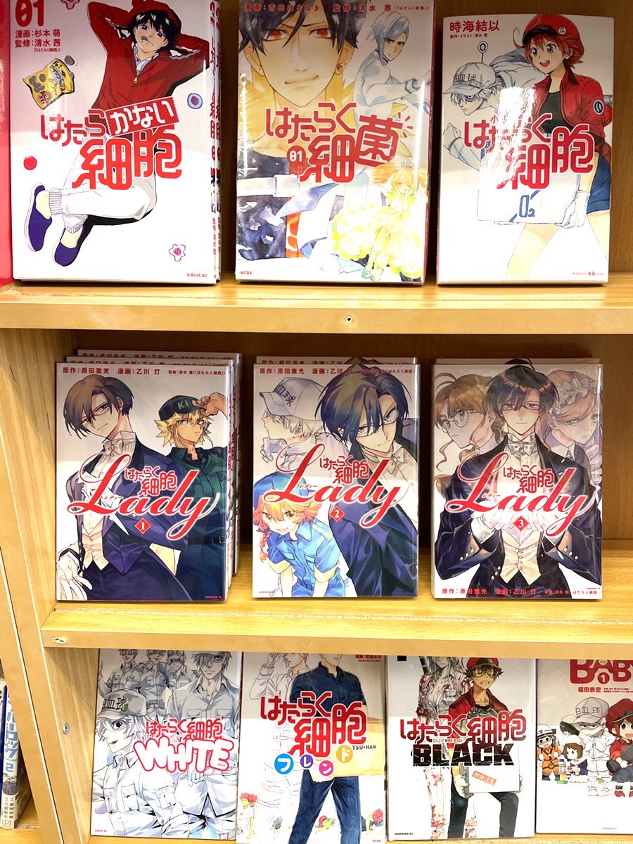 □実写映画の公開も話題の「はたらく細胞」シリーズ作品販売中です！□ | 売るのも買うのもマンガ倉庫山口店